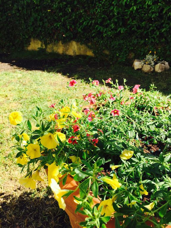 Bed and Breakfast Harmony House Prestige Pisa Exterior foto