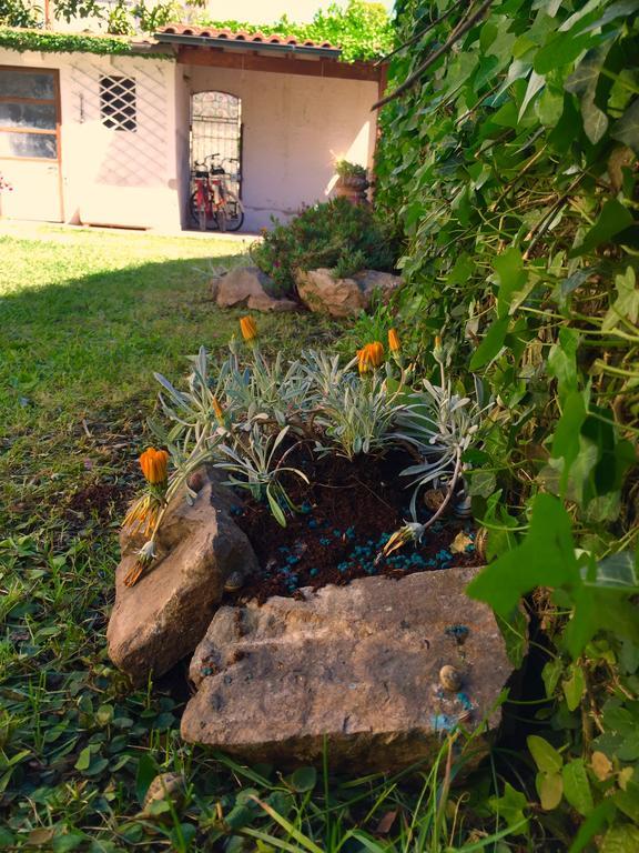 Bed and Breakfast Harmony House Prestige Pisa Exterior foto